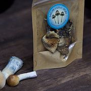 Svampar med psilocybin är tillåtet i flera länder.