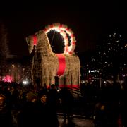 Årets invigning av bockarna.