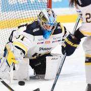 HV71 var en match från ett SM-guld i SDHL.