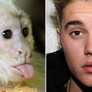 Mally och Bieber