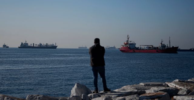 Fraktfartyg på Svarta havet.  Khalil Hamra / AP