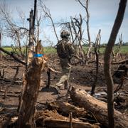 En ukrainsk soldat går igenom ett minfält i Zaporizjzjaregionen i juni.