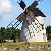 Med BRA flyger du direkt till Visby från åtta destinationer i sommar. På Fårö kan du till exempel gosa med får och beundra det vackra landskapet.