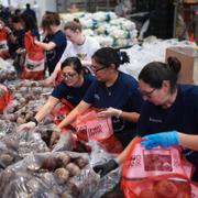 Volontärer vid San Antonio Food Bank lastar säckar med potatis inför en matutdelning för mottagare av matkuponger och andra hushåll som drabbats av den federala nedstängningen.