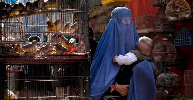 En kvinna i burka i Kabul den 8 maj i år. Ebrahim Noroozi / AP