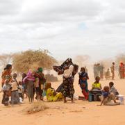 Flyktingläger i Dadaab i Kenya.