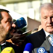 Matteo Salvini och Horst Seehofer på en gemensam pressträff.