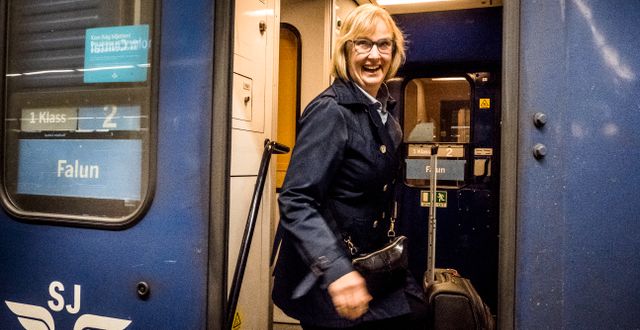 Trafikverkets Lena Erixon tjänar med sina 174 600 kronor i månaden nästan lika mycket som statsministern. Magnus Hjalmarson Neideman/SvD/TT / TT NYHETSBYRÅN