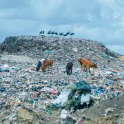 Stoptipp i Kajiado i Kenya.