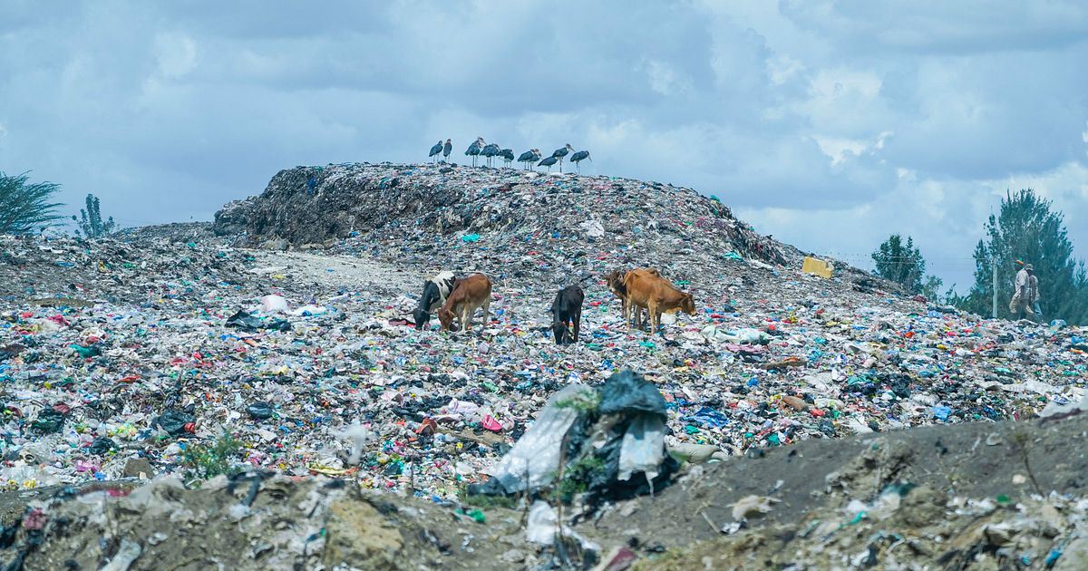 Begagnade kläder från EU hamnar på soptippar i Afrika