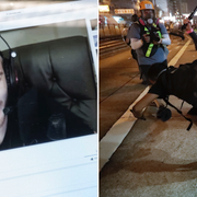 Pewdiepie/Hongkongprotester.