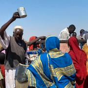 Flyktingar från den belägrade staden el-Fashir i närliggande Tawila, Sudan, den 2 november 2025. 
