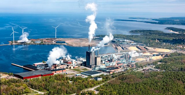 Stora Ensos bruk i Skutskär är ett av de största pappersmassabruken i Sverige. Pressbild/Stora Enso
