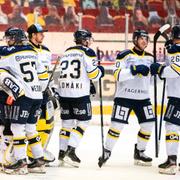 HV71 firar