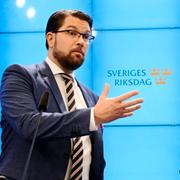 Jimmie Åkessons partiledare DN. 
