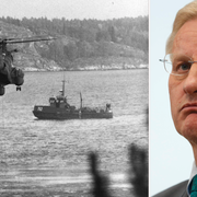 Carl Bildt, tidigare M-ledare.