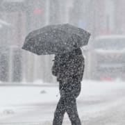 Bilder från snöovädret i Nashville i Tennessee.