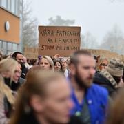 Protester i Borås i november.