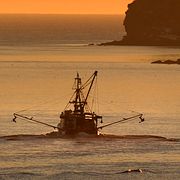 Ett fiskefartyg utanför kusten i Maine. Arkivbild.