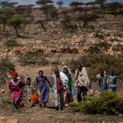 Invånare i Tigray.