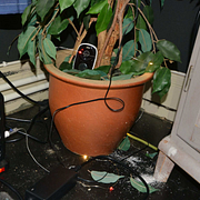 Mannen misstänks ha filmat sexköpen.