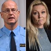 Rikspolischefen Anders Thornberg, före detta regionpolischefen Mats Löfving, Linda Staaf, Noa och polisens externa utredare Runar Viksten.