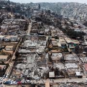 Förödelse i Vina del Mar i Chile efter skogsbränderna i februari. 