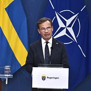 Stenergard och Kristersson.