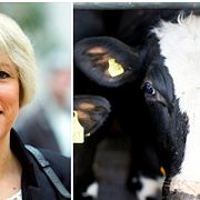 LRF:s Helena Jonsson, arkivbild på kor