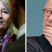 Marita Ulvskog och Gunnar Hökmark.