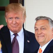 Donald Trump och Viktor Orbán under ett möte den 13 maj 2019.