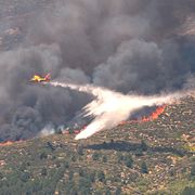 Ett flygplan släpper vatten över en skogsbrand i västra Spanien den 24 juli. Under de senaste veckorna har flera länder i Sydeuropa plågats av skogsbränder.