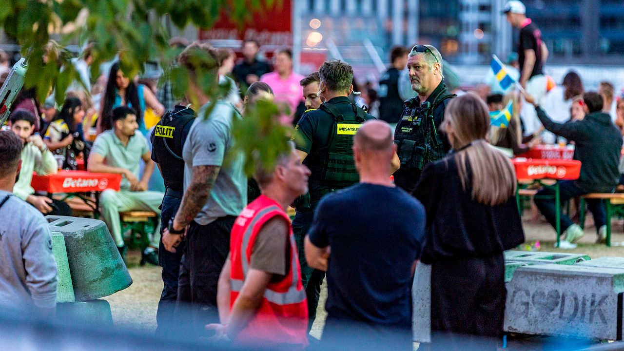 Billedet i artiklen