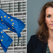 EU-flaggor. Datainspektionens generaldirektör Lena Lindgren Schelin.