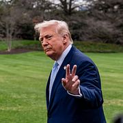 Donald Trump, arkivbild.