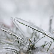 Risk för gräsbrand på tisdagen. Arkivbild. 