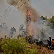 Skogsbrand i Grekland.