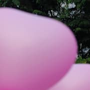 Illustrationsbild/Hjärtformade ballonger från årliga demonstrationen Pink Dot i Singapore 2013