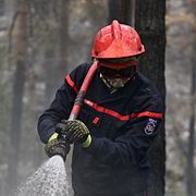 Brandmän arbetar med att släcka skogsbranden i skogen Fontainebleu utanför Paris.