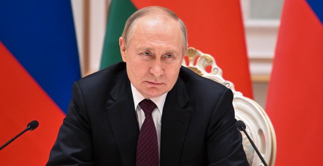 Vladimir Putin. Pavel Bednyakov / AP