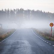 Morgondimma över en öde väg i Uppland.