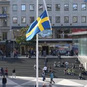 Konstverket föreställer en slokande flaggstång med den svenska flagga hängande upp och ner. 