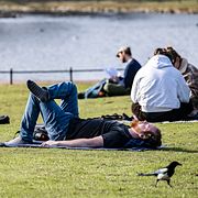 Parkhäng i Malmö förra året.