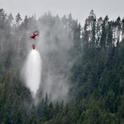 Släckningen av förra sommarens skogsbränder.