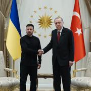 Volodymyr Zelenskyj när han träffade Turkiets president Reccep Tayip Erdogan i maj.