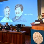 Victor Ambros och Gary Ruvkun tilldelas årets Nobelpris i fysiologi eller medicin då Nobelförsamlingen vid Karolinska Institutet tillkännager årets Nobelpristagare i fysiologi eller medicin. Till höger Nobelkommitténs ordförande Thomas Perlmann. 