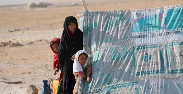 Flyktingar i norra Afghanistan. Rahmat Gul / TT NYHETSBYRÅN