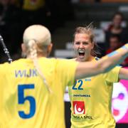 Segeryra efter Sveriges 7–3-seger mot Schweiz