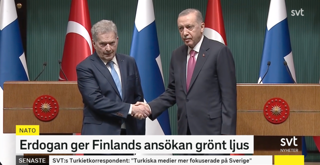 Erdogan och Niinistö. Skärmdump SVT