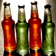 Svenska cider med kaktus- och mandarinsmak. Illustrationsbild.